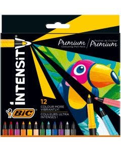 BIC Intensity Feutres Premium