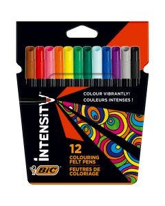 BIC Intensity Feutre de Coloriage x12