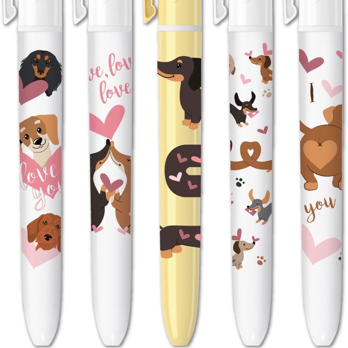 Collection BIC 4 Couleurs - Teckel
