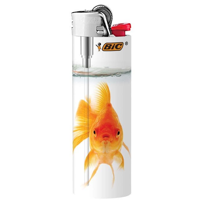 Regular Lighter Diversion Safe Stash Spot - Assorted Color, Hidden Compartment Security Box