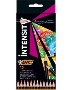 BIC Intensity Lot de 12 crayons de couleur pour adultes avec mine incassable