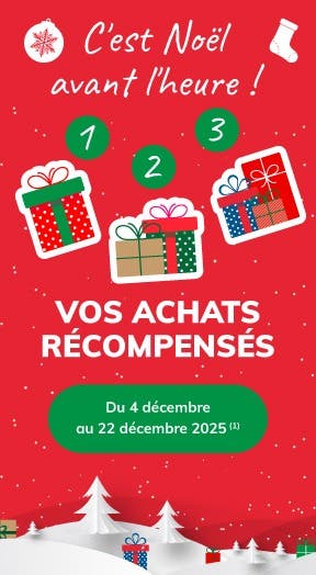 Offre spéciale de Noël